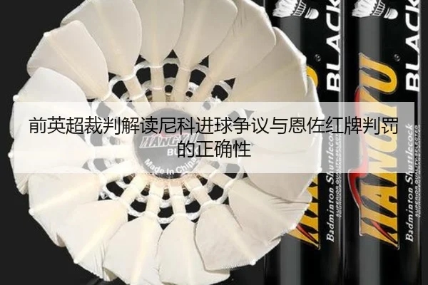 前英超裁判解读尼科进球争议与恩佐红牌判罚的正确性